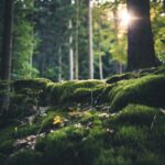 photo 1577495508048 b635879837f1